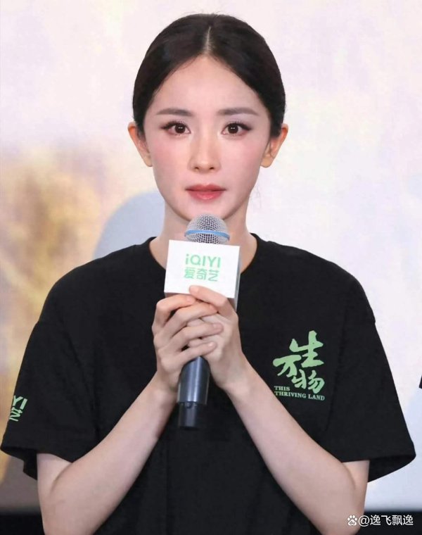 杨幂新剧全民造梗后剧情能否嘱托热度西宾
